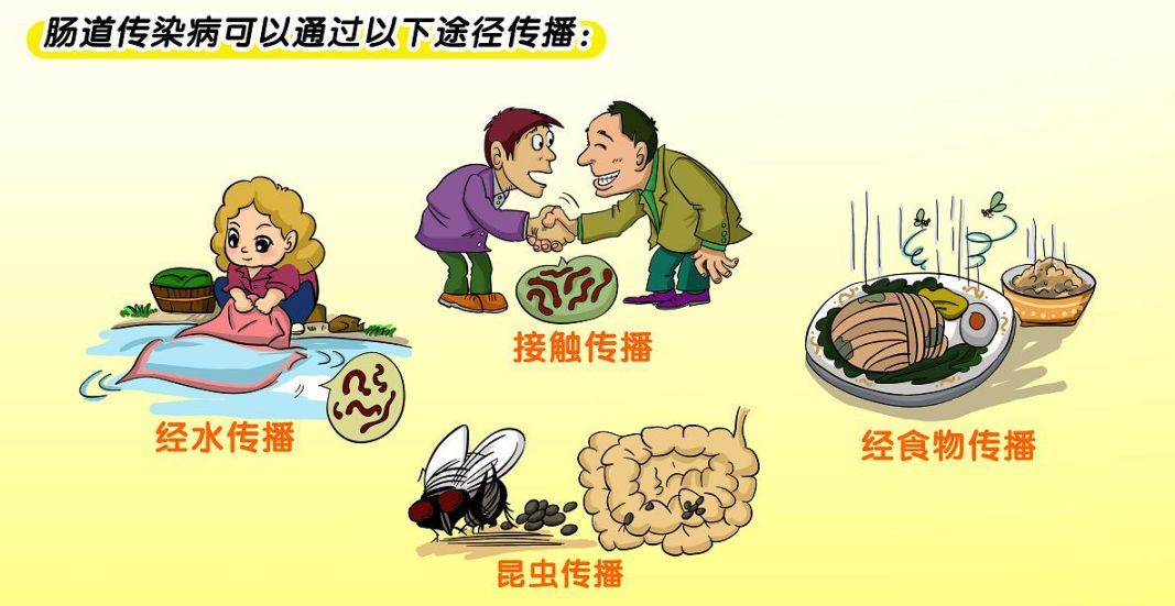 节日莫忘饮食卫生，预防肠道传染病的关键在食品
