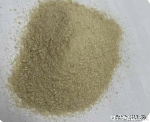2026首批“三新食品”落地 这5种新原料功效大不同，小心别买错！